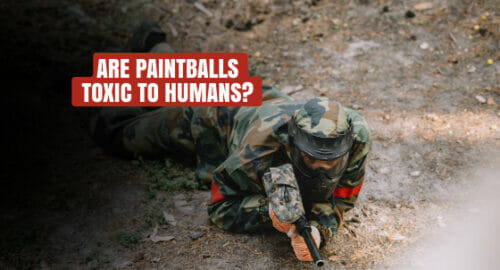 Are Paintballs Toxic To Humans?